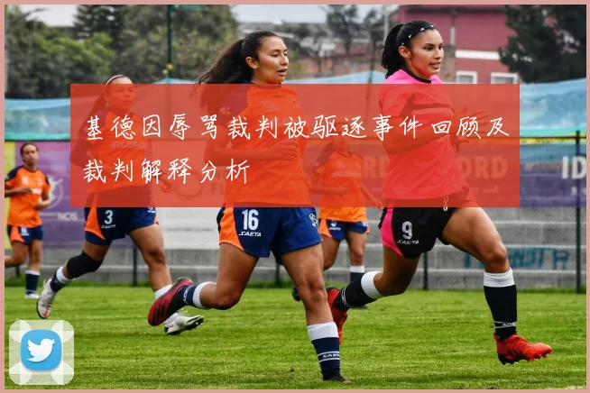 基德因辱骂裁判被驱逐事件回顾及裁判解释分析